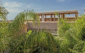 Riad Jaaneman
